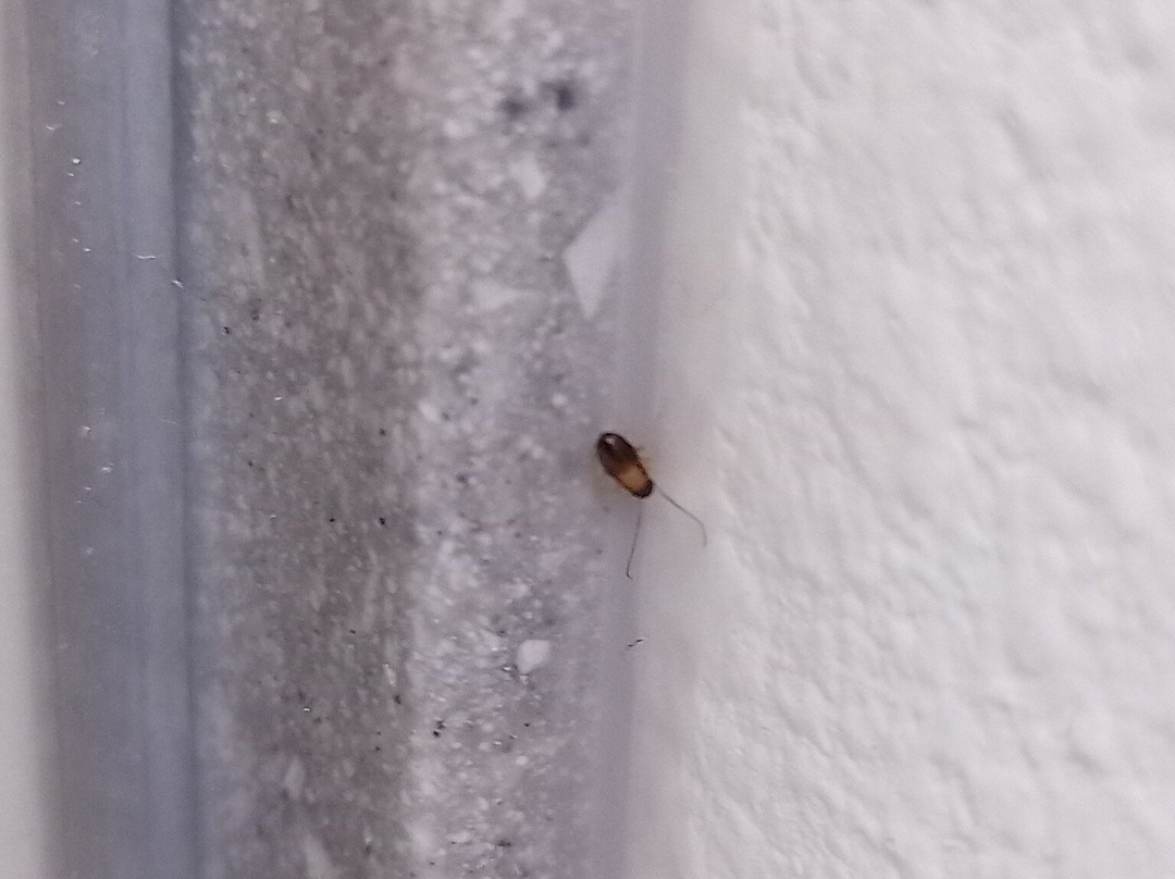 Oasis Hotel & Conv. Center, Ascend Hotel Collection主图