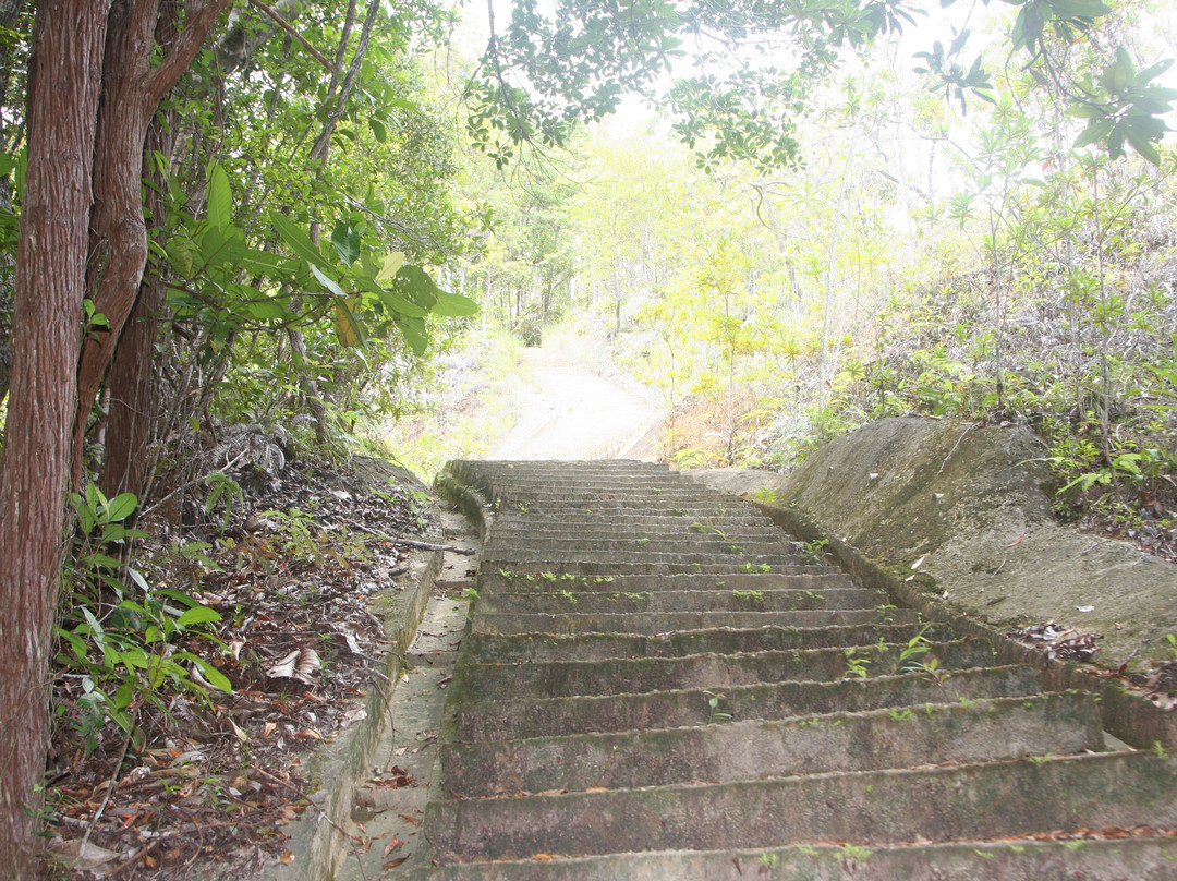 Bukit Shahbandar Forest Recreation Park-斯里巴加湾必去景点