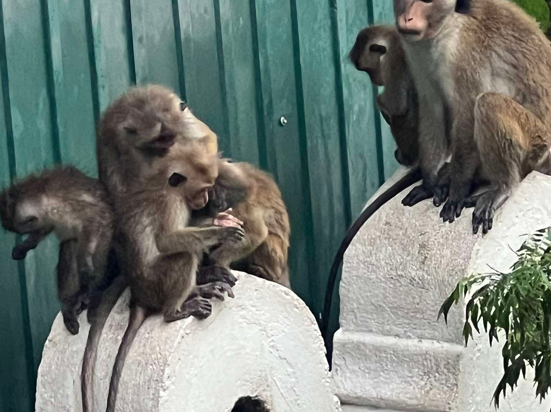 Amith Tours & Travels-班托塔必去景点