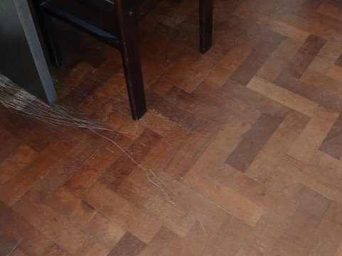 泛美大酒店主图