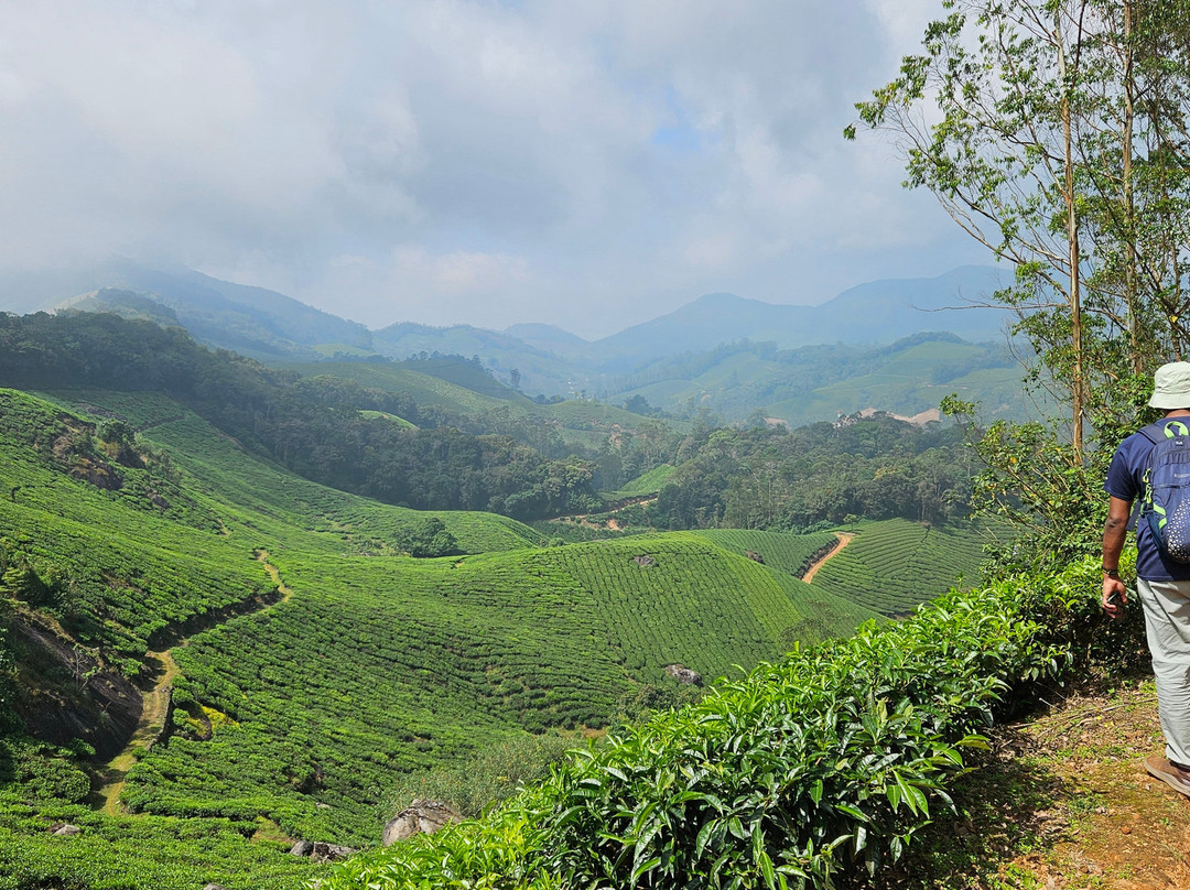 Munnar Nature Trekking Adventures景点图片