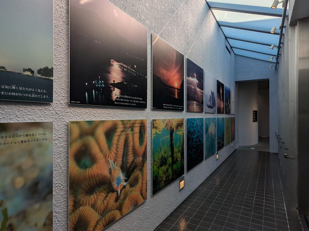 Minamata Disease Museum-水俣市必去景点