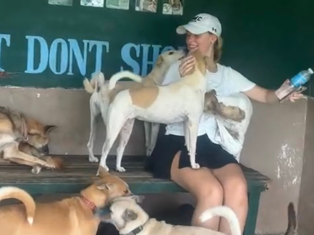 Moalboal Animal Welfare-莫阿尔博阿尔必去景点