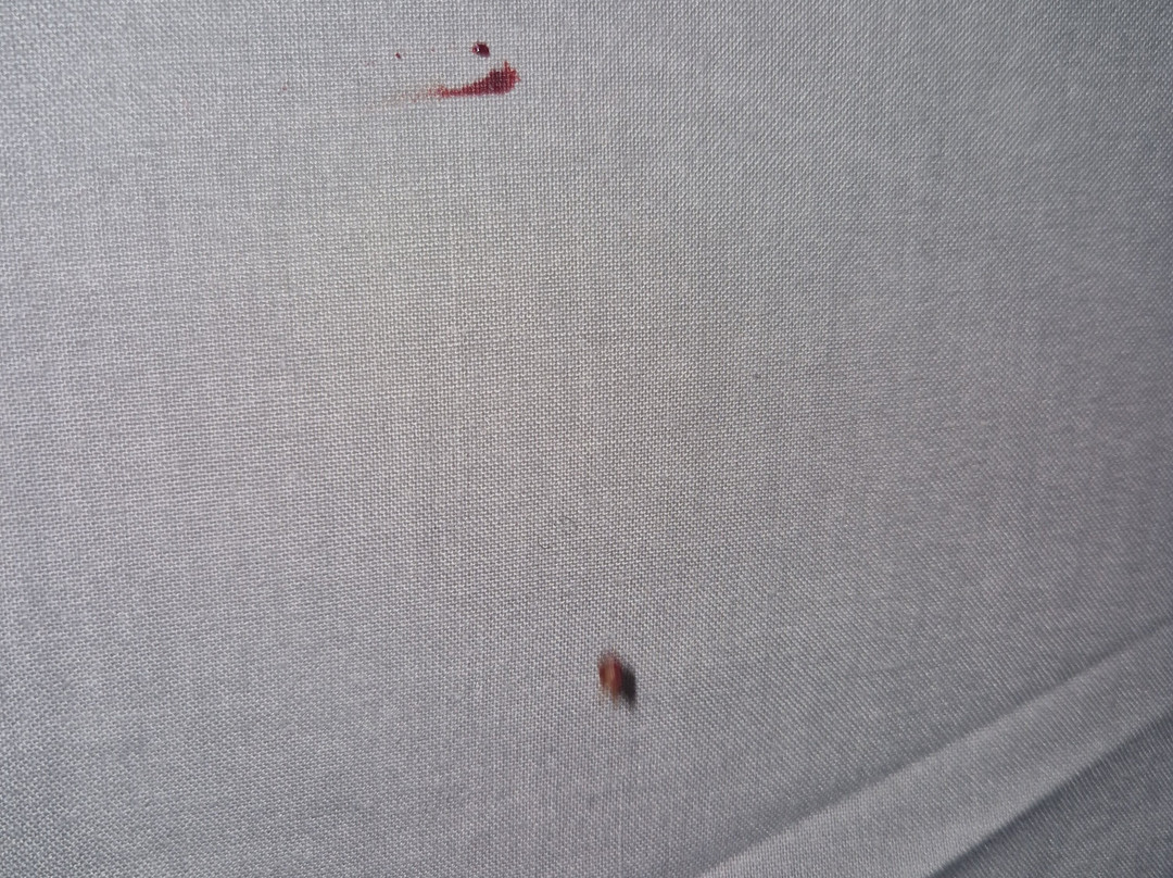 Hospedaxe Carragal主图