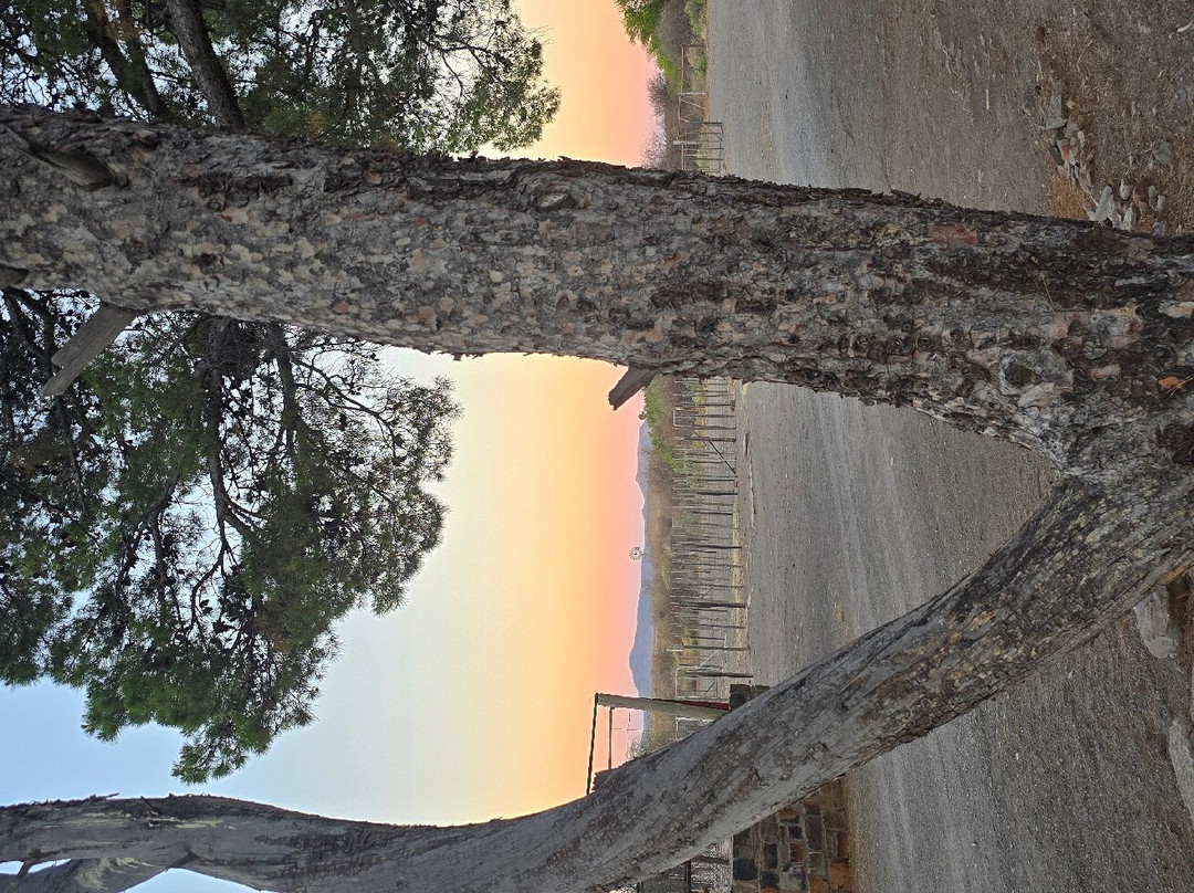 Desert Dew Guesthouse主图