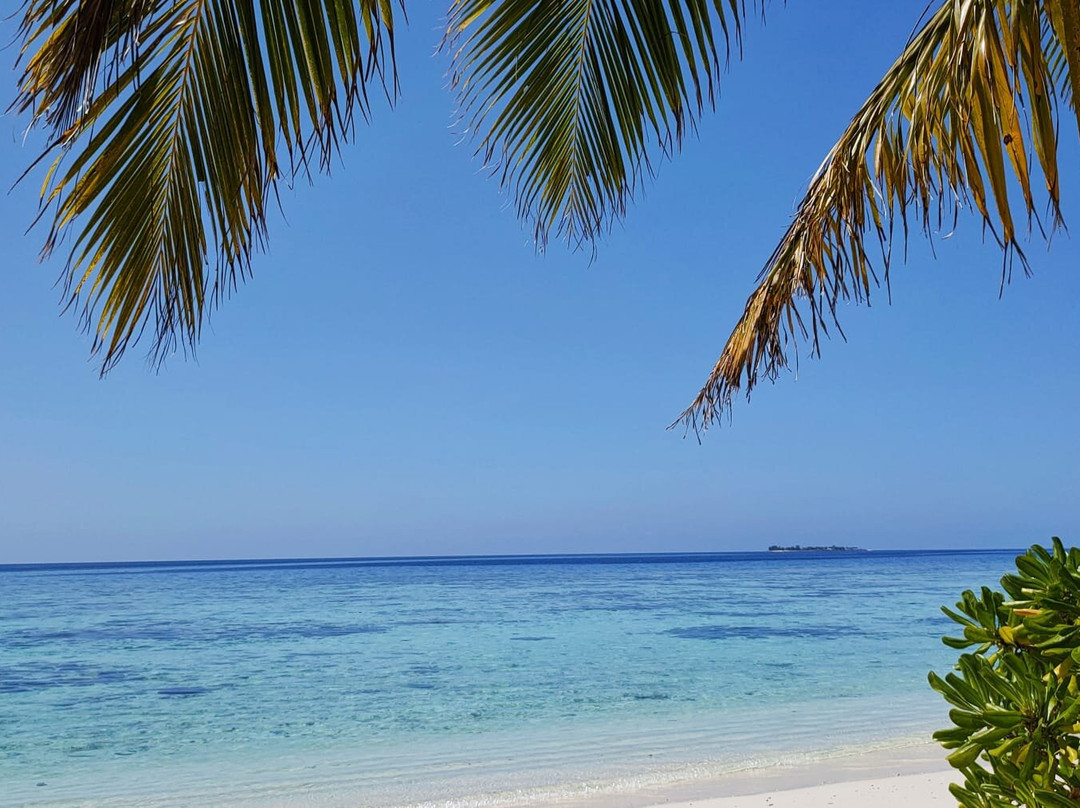 Omadhoo Coral View Inn主图