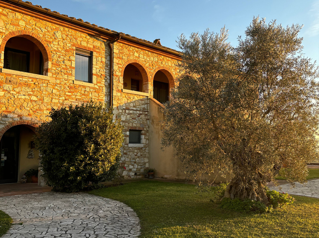 Agriturismo San Lorenzo主图