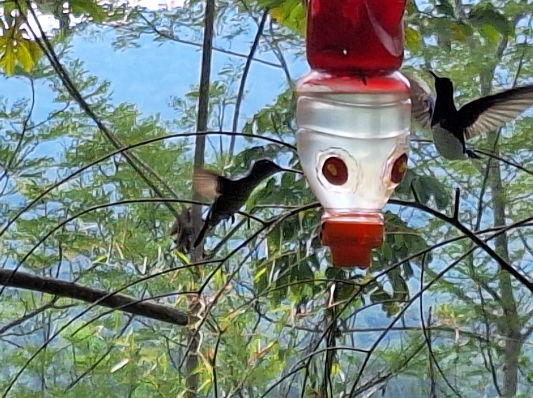 Bio Manu Expeditions-玛努国家公园必去景点