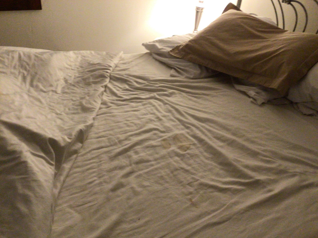 Stonecroft Inn主图