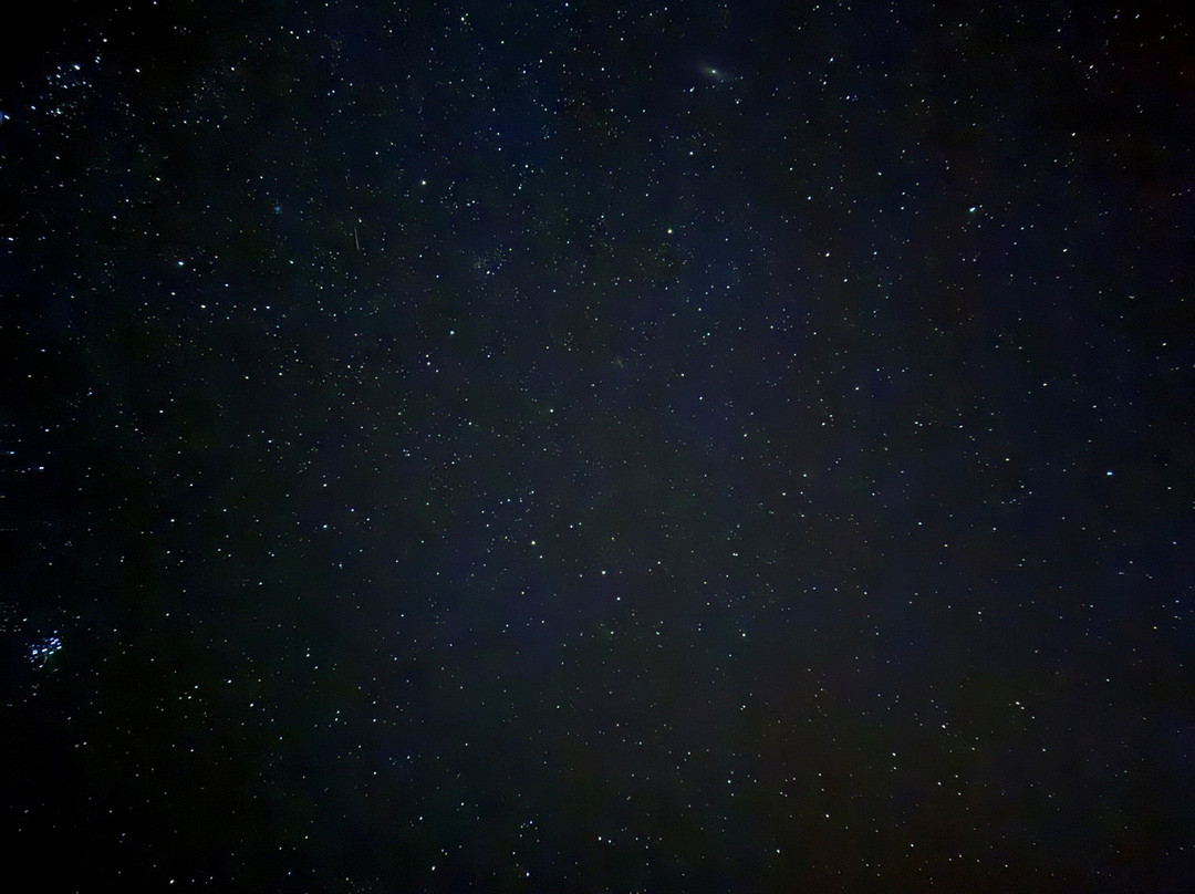 Western Desert Tours - Day Tour-Bawiti必去景点