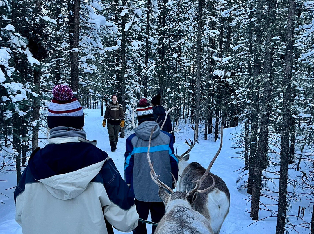 Chena Outdoor Collective-费尔班克斯必去景点