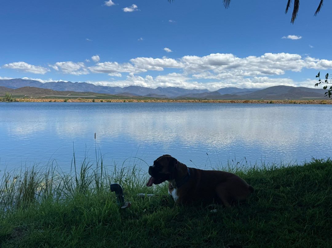 Springfield Estate Winery-Robertson必去景点