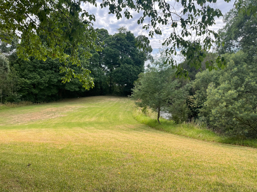 Bert Thompson Reserve-特拉拉尔根必去景点