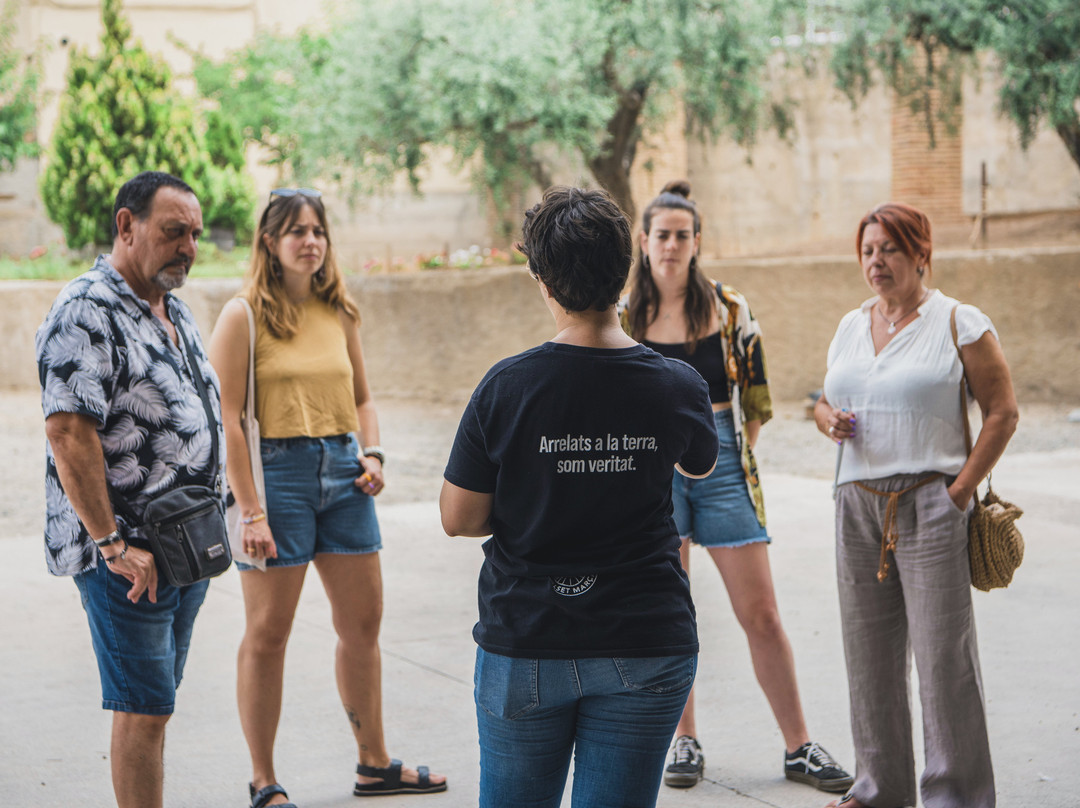 Cooperativa Falset Marçà景点图片
