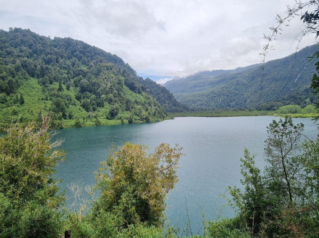 Futangue Park-Lago Ranco必去景点