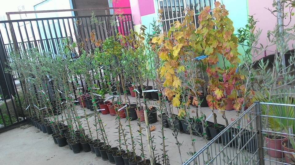 Naturfauna景点图片