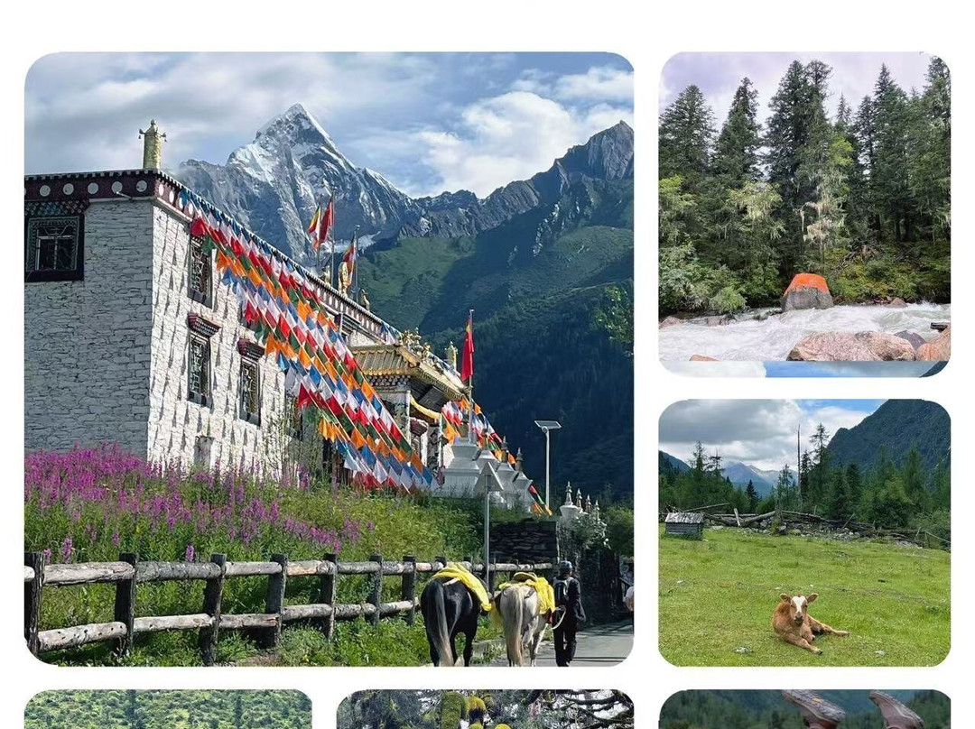 四姑娘山保护区景点图片