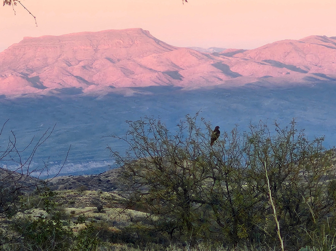 C.O.D. Ranch-Oracle必去景点
