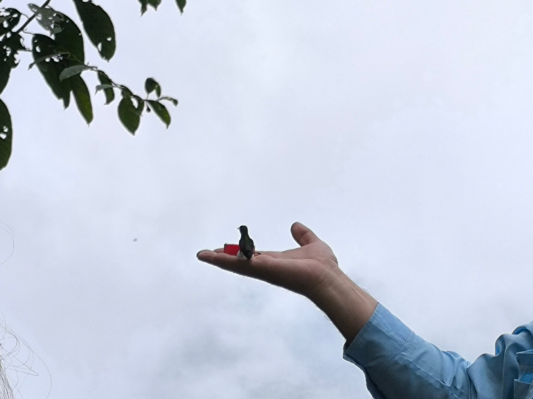 San Tadeo Birding-明多必去景点