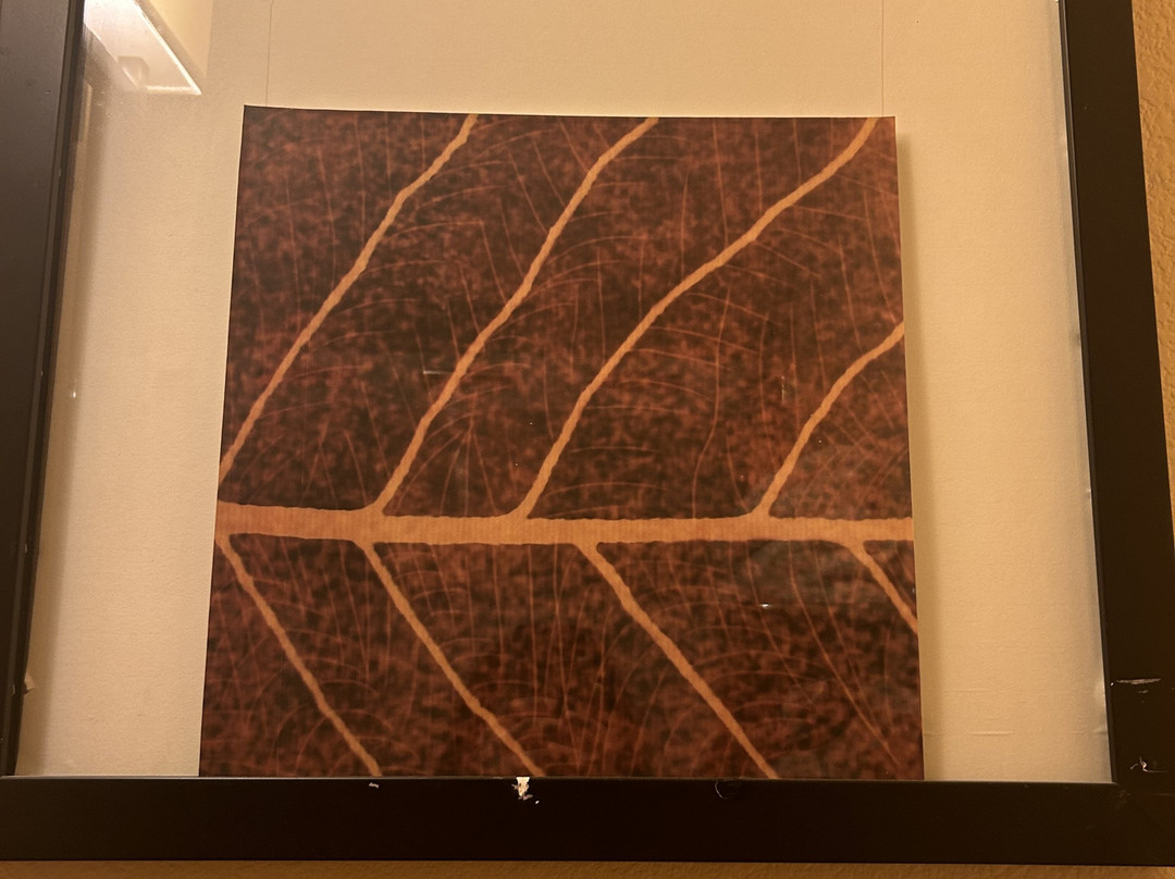 拉斯维加斯豪顿套房酒店主图