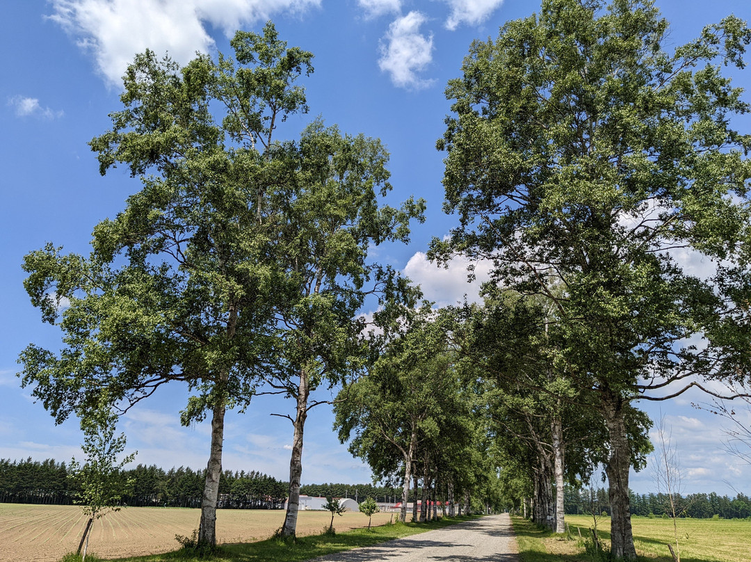 Tokachi Ranch-音更町必去景点