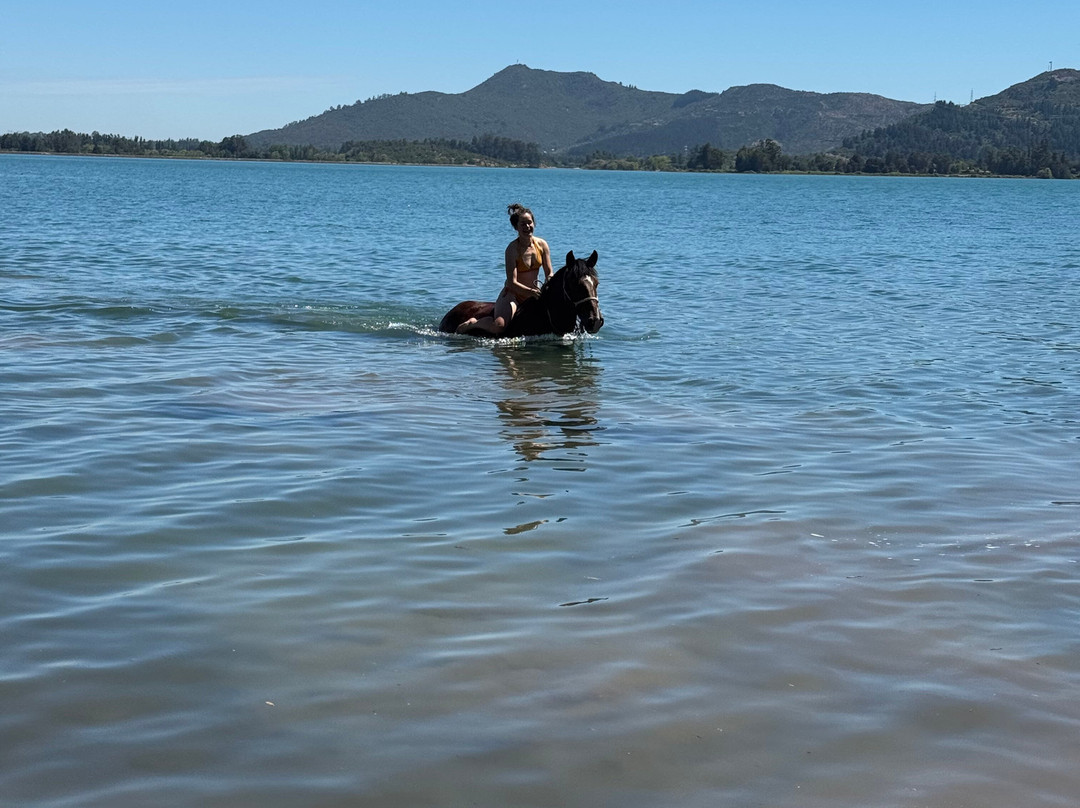 Chile Horse Riding-Panimavida必去景点