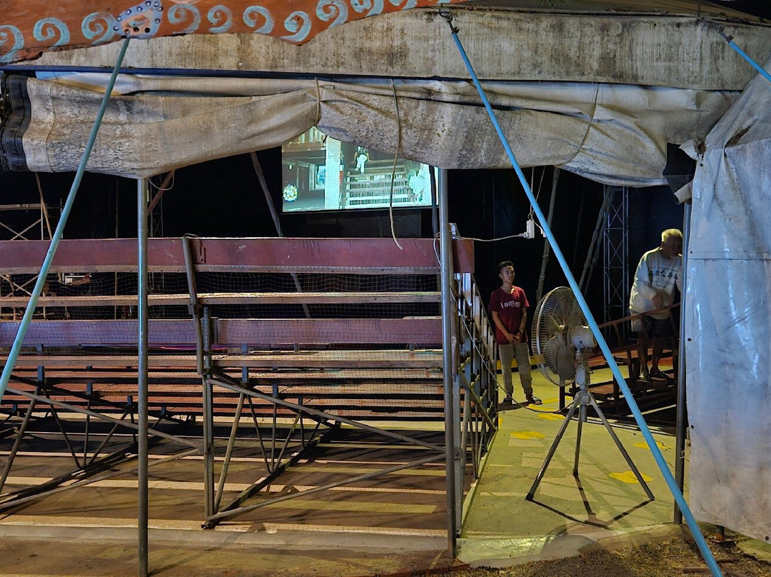 Phare Ponleu Selpak - Battambang Circus-马德望必去景点