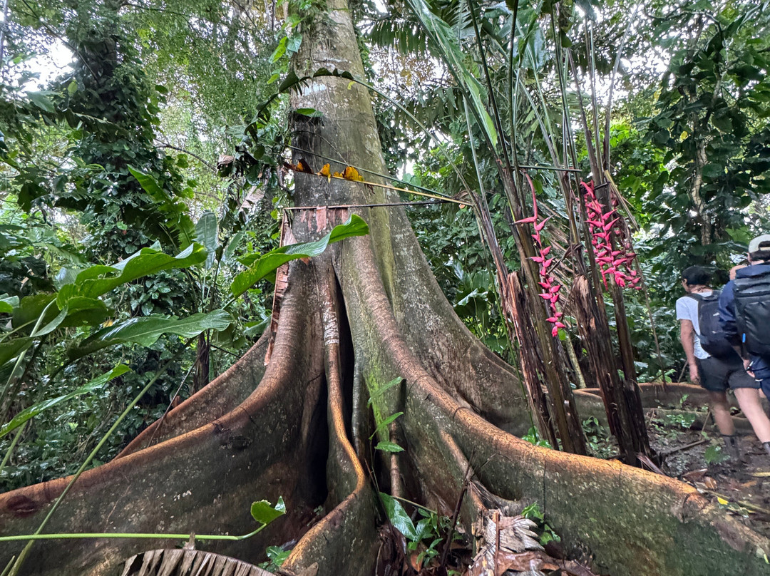 La Tierra Del Encanto-Isla Bastimentos必去景点