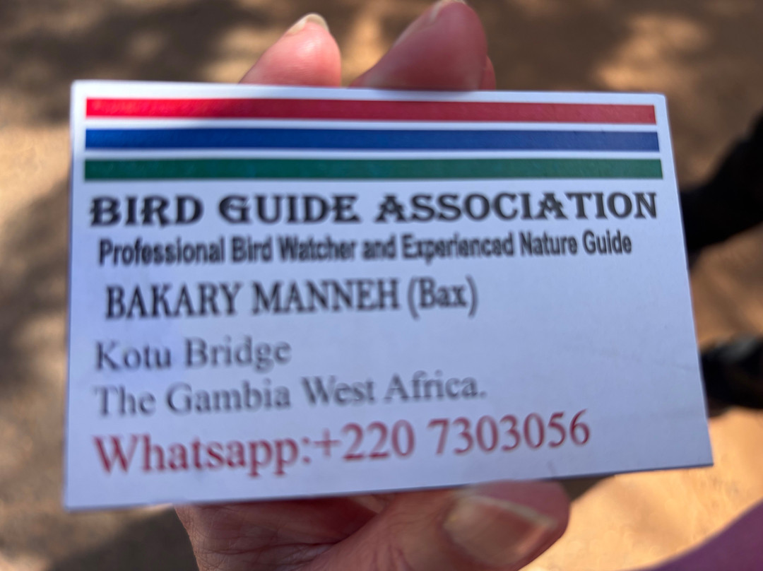 Kotu Bridge (Bird watching)景点图片