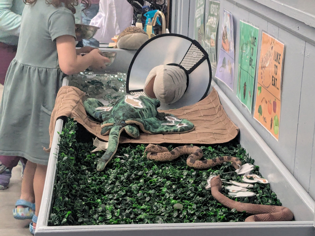 Topsail Aquarium景点图片
