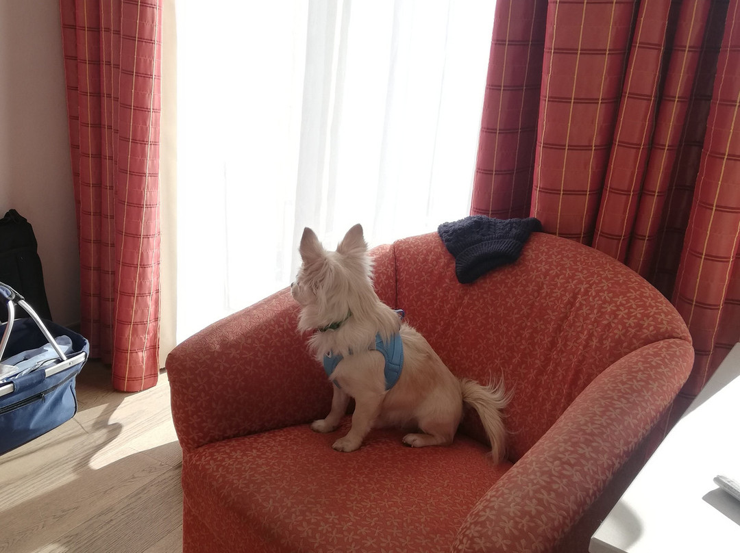 Wellnesshotel Bodenmaiser Hof主图
