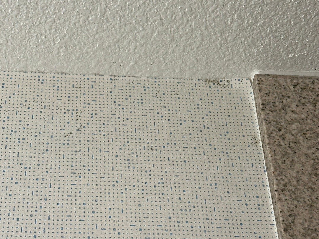 Holiday Inn Express & Suites Carson City by IHG主图