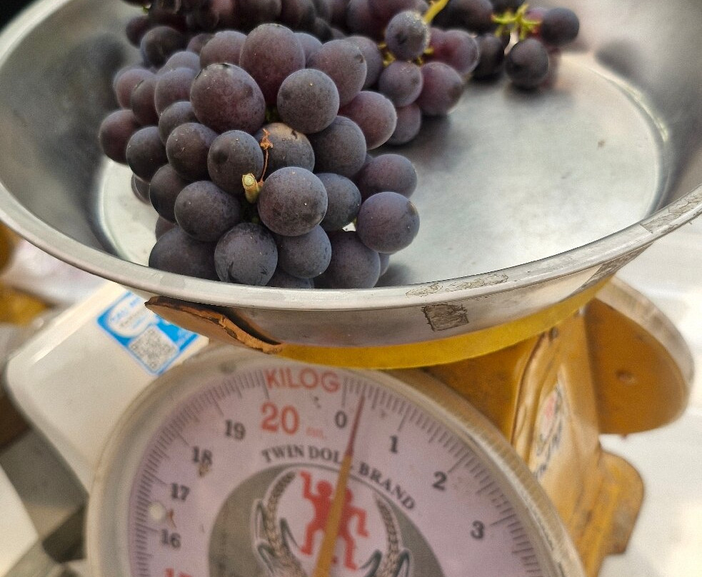 PB Valley Khao Yai Winery景点图片