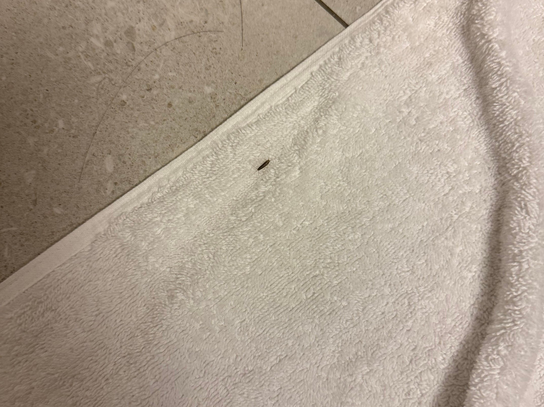 Village Suites by Blue Mountain Resort主图