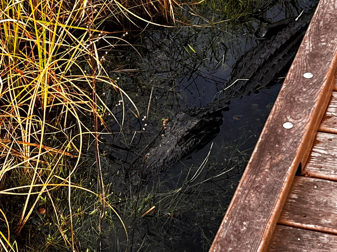 Okefenokee National Wildlife Refuge-Folkston必去景点
