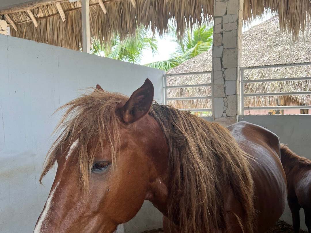 Brunei Hotel Boutique