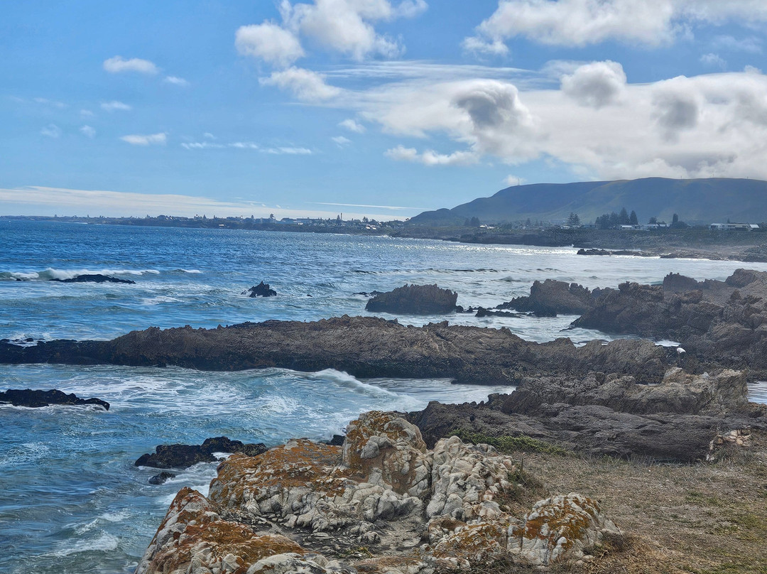 Hermanus Cliff Path-赫曼努斯必去景点