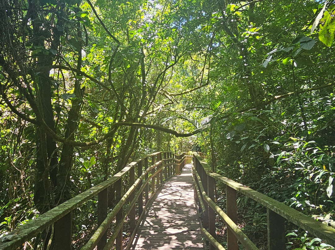 Fazenda Bananal景点图片