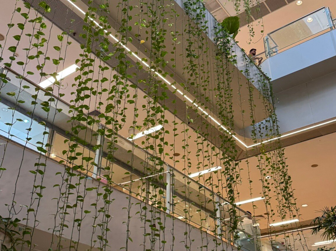 Shopping Barra-萨尔瓦多必去景点