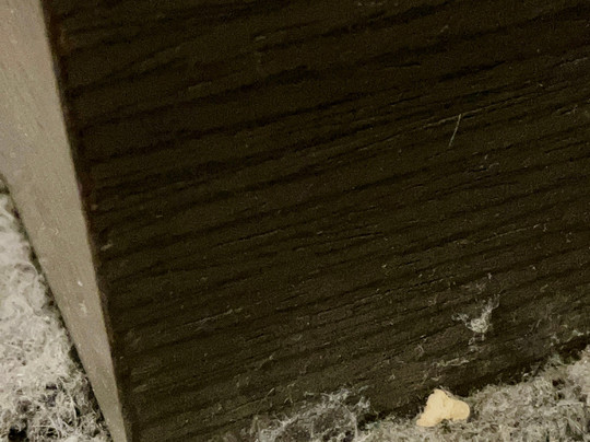 萨凡纳河畔万豪酒店主图