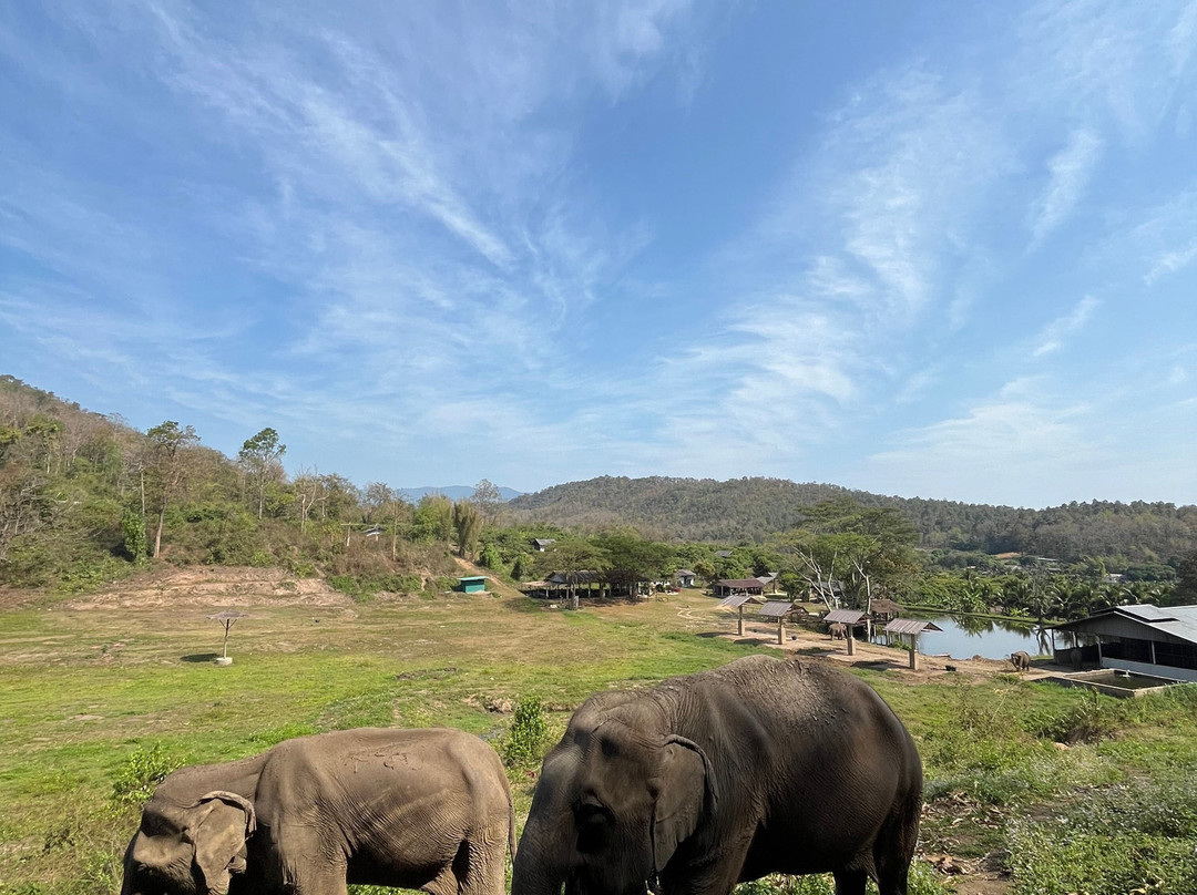 Lanna Kingdom Elephant Sanctuary-清迈必去景点