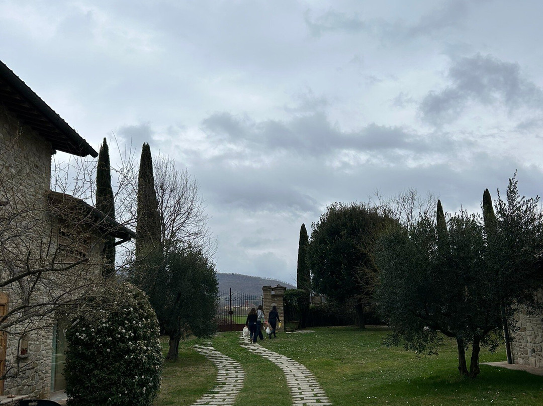 卡马特拉酒店主图