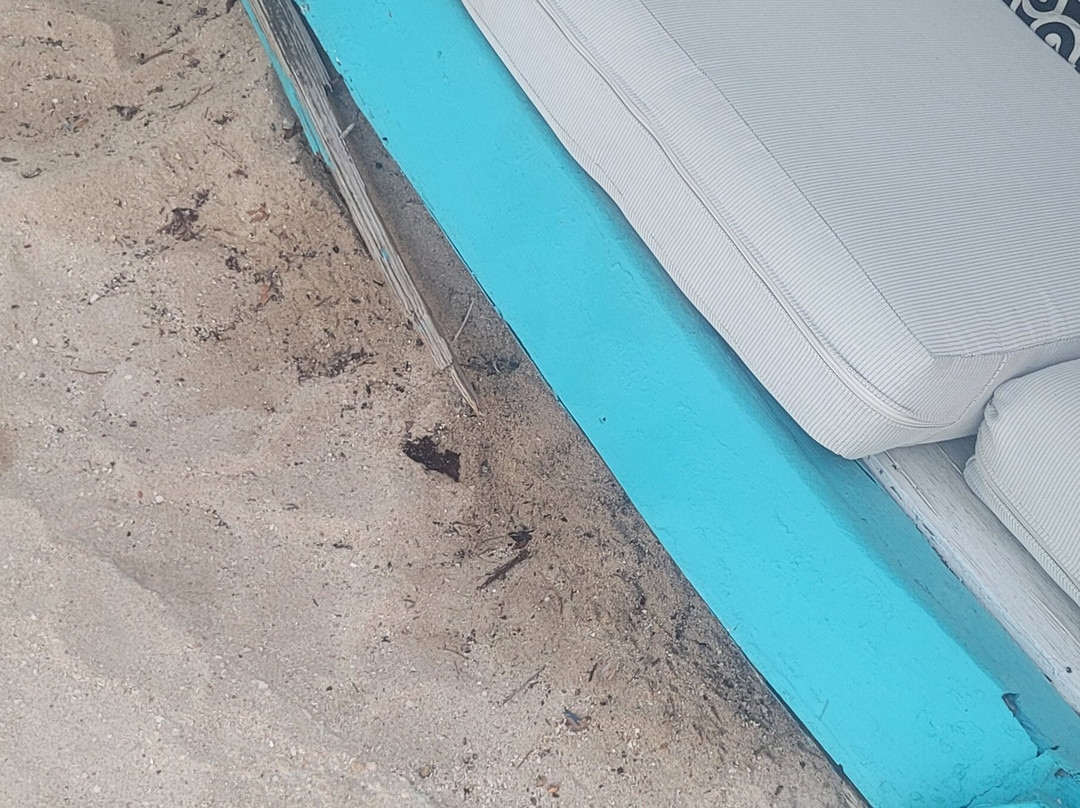 Serene By The Sea主图