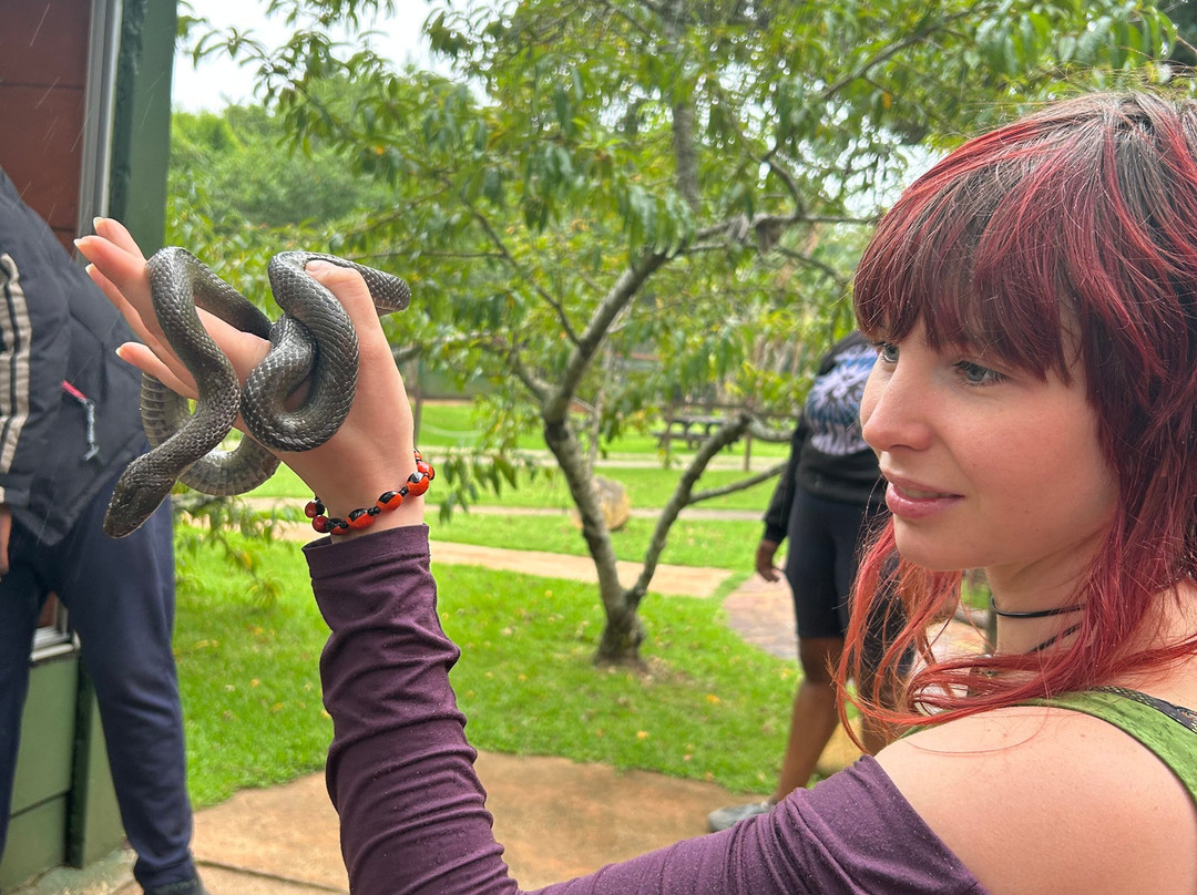 Lawnwood Snake Sanctuary-The Crags必去景点