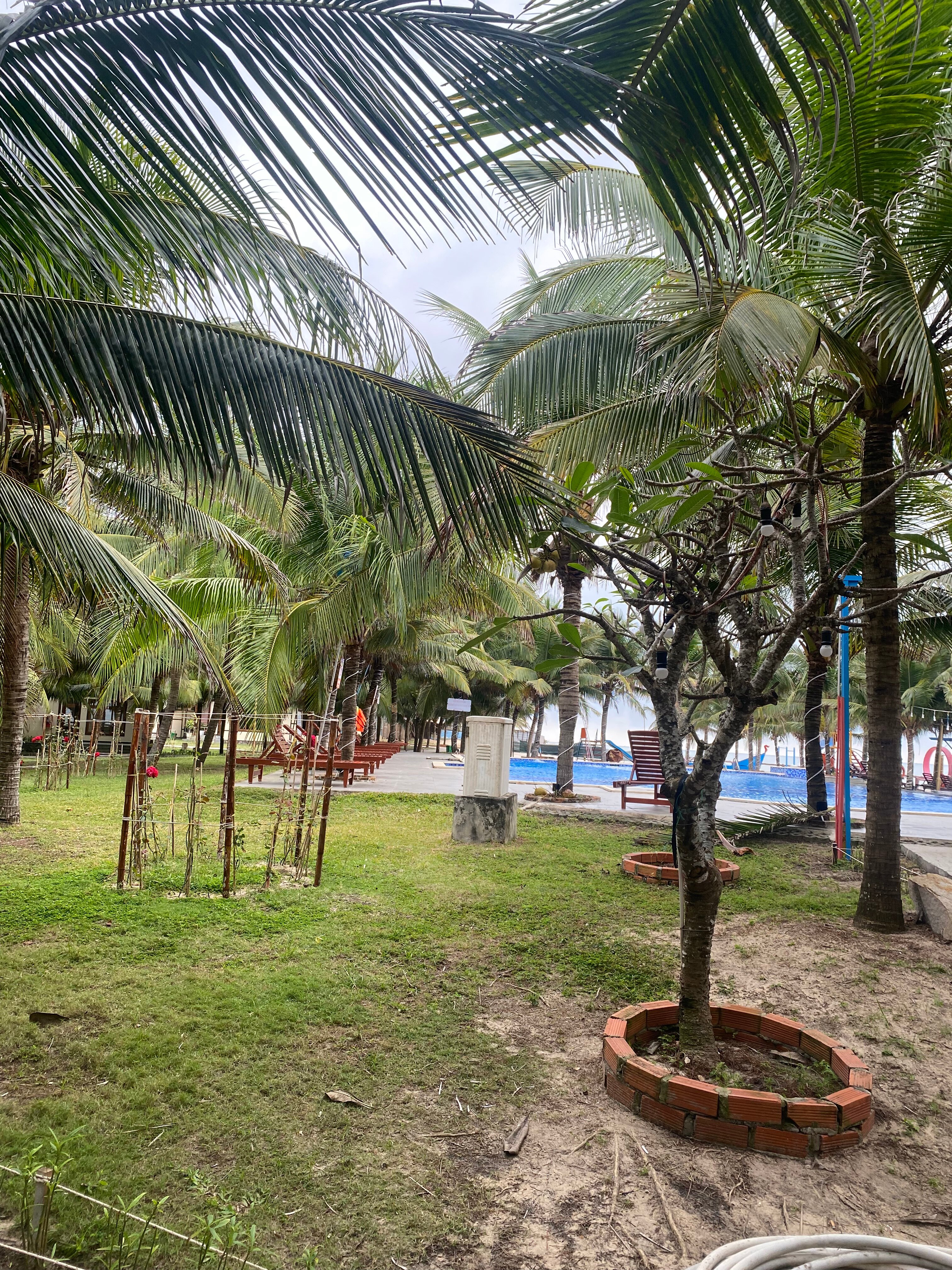 Aurora Resort-官方