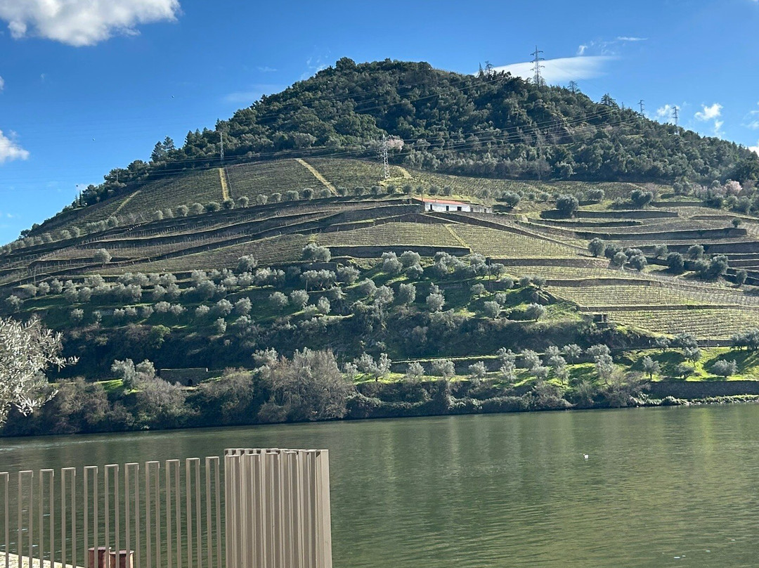 DWT - Douro Wine Tours-波尔图必去景点