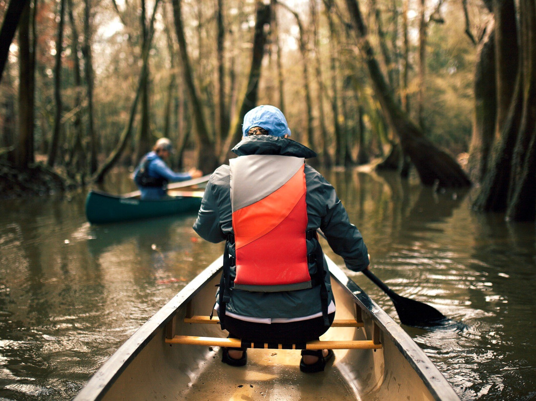 Palmetto Outdoor-West Columbia必去景点