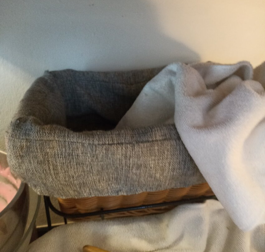 City Express By Marriott Querétaro Juríca主图