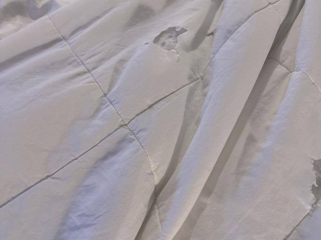 avid Hotel Fort Mill - Carowinds Blvd by IHG主图