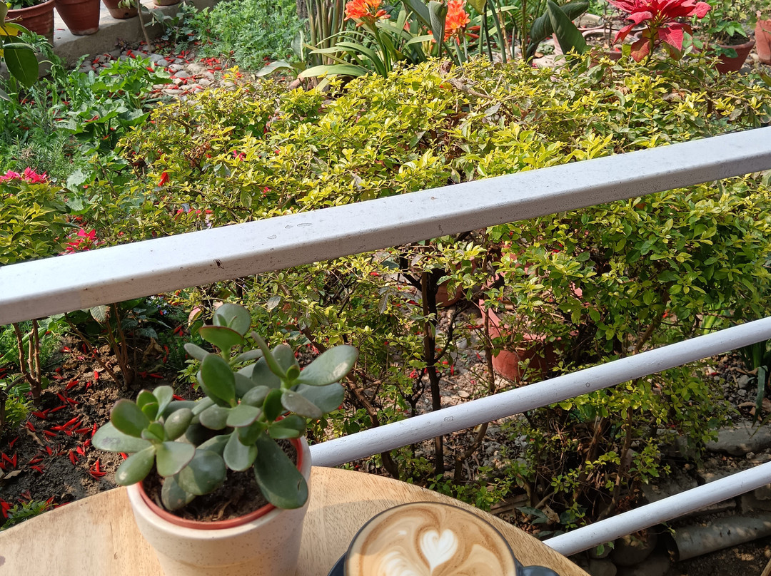 Avata Wellness Center-加德满都必去景点